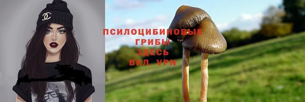 mdpv Армянск