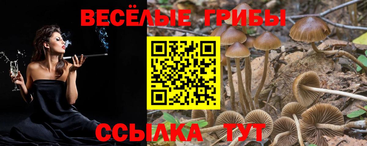 Чистополь  Псилоцибиновые грибы Magic Shrooms  Вход с VPN  Галлюциногенные грибы MAGIC MUSHROOMS 